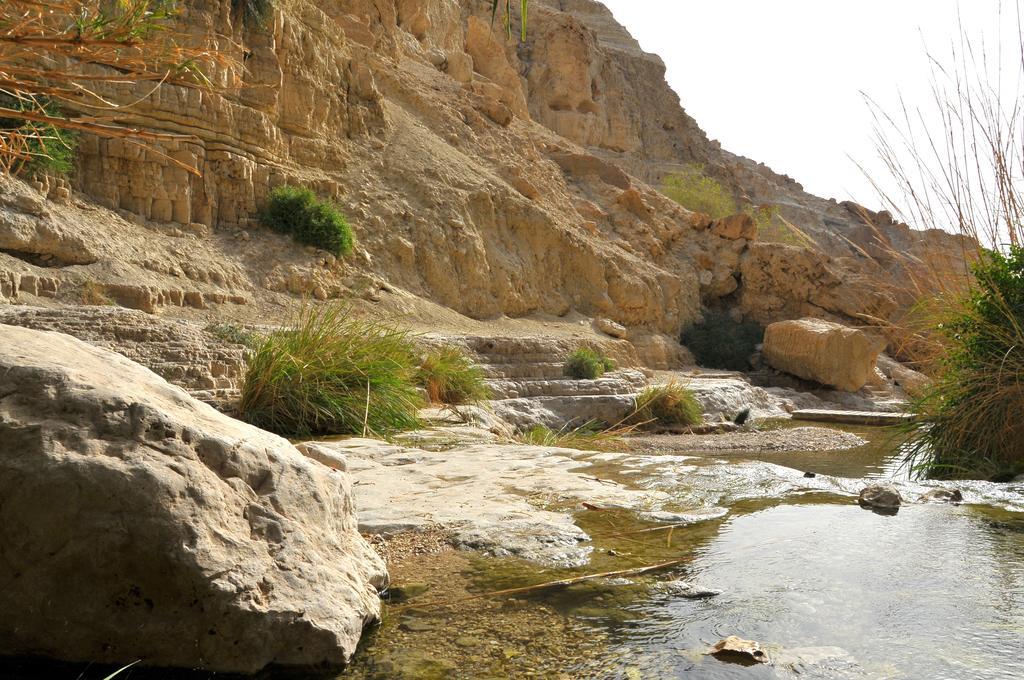 Ein Gedi Kibbutz Hotel Exterior photo